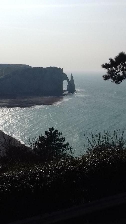 Les Nids Des Falaises Saint-Jouin-Bruneval Exterior foto